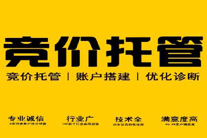 百度推广成功案例：打造行业领军品牌之路